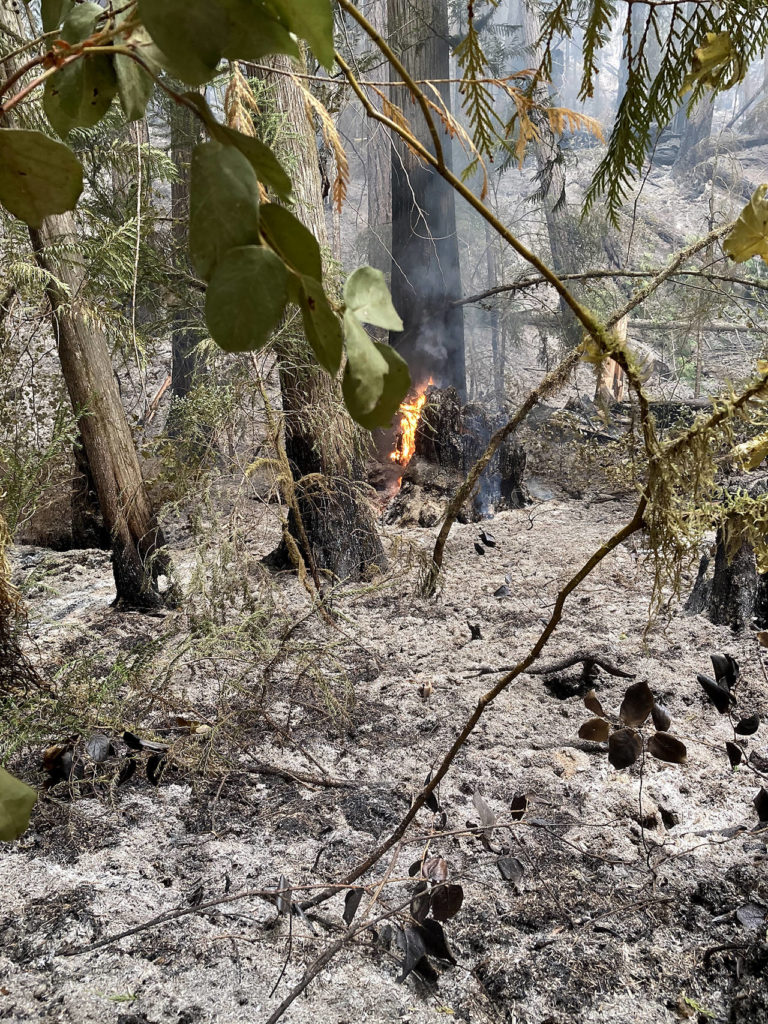 The Downey Creek Fire has burned about 2,600 acres in the Glacier Peak Wilderness. (Sandra Ruffner)
