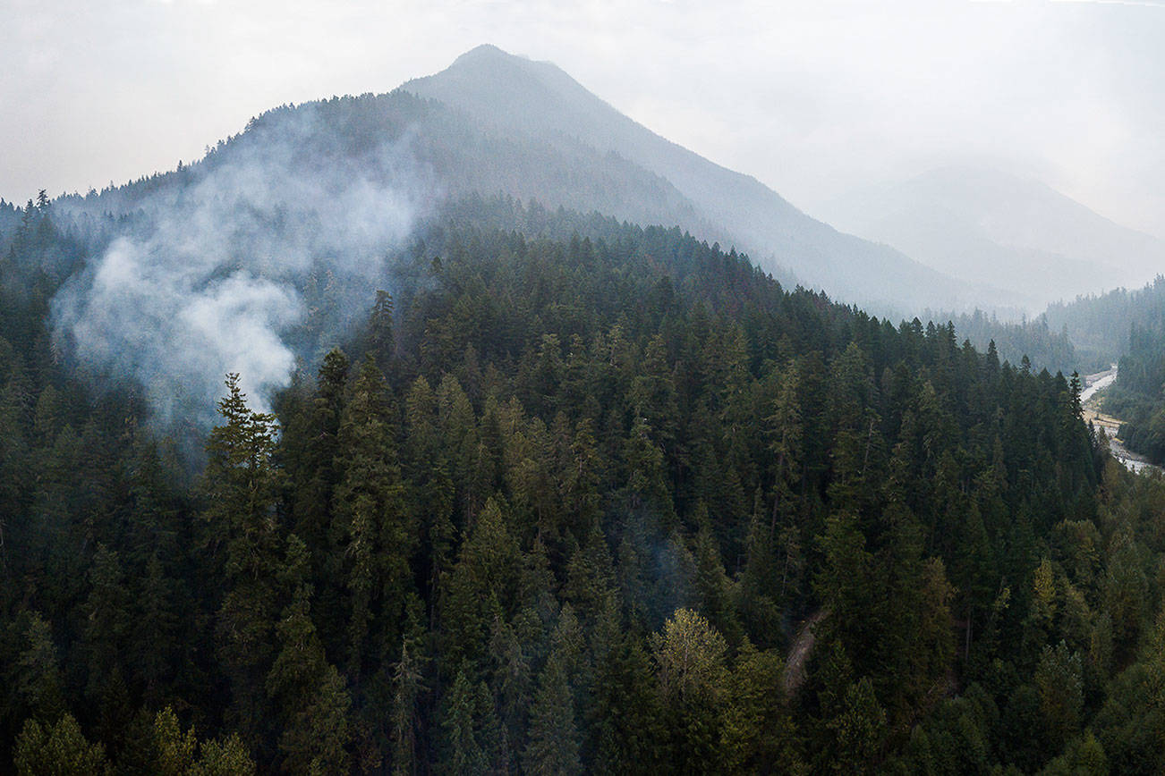 The Downey Creek fire burning off of Suiattle River Road (Forest Road 26) on Friday, Sept. 18, 2020 in Darrington, Wa. (Olivia Vanni / The Herald)