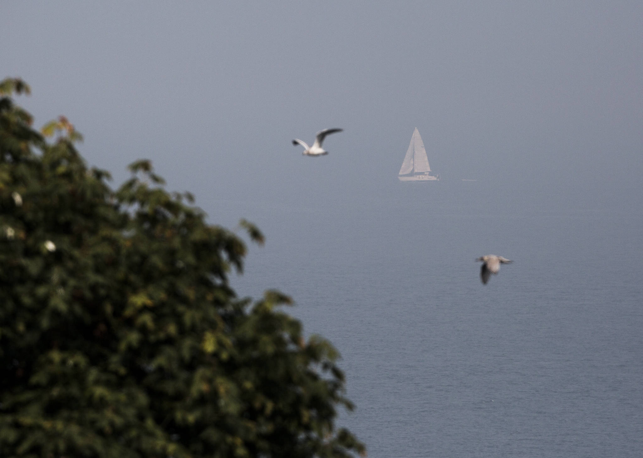 A sailboat navigates its way through the smoke on Possession Sound on Friday, Sept. 11, 2020 in Everett, Wa. (Olivia Vanni / The Herald)