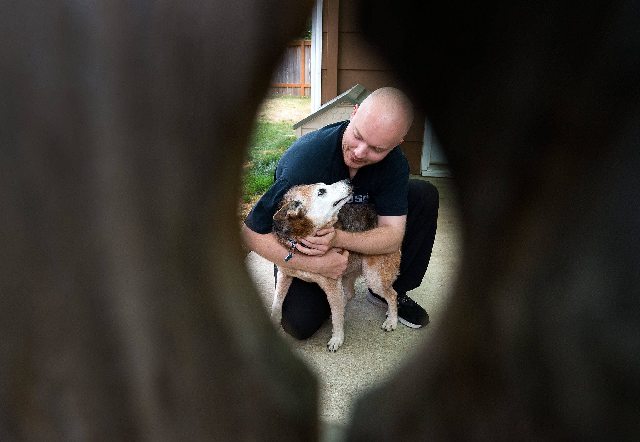 Travis Gilbert hugs his 15-year-old dog Abe on Sept. 24 in Arlington. The deaf and nearly blind dog went missing on Sept. 3 from the backyard and was found barely alive 12 days later about a mile away at the bottom of a deep hole in the woods by PUD linemen. (Andy Bronson / The Herald)