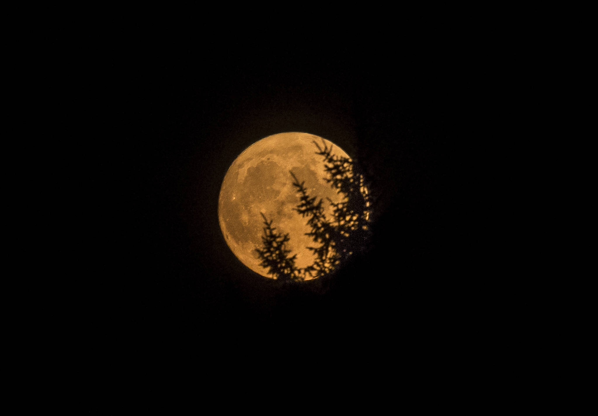 The moon rises over Everett on Wednesday, tinged yellow from high elevation smoke. (Olivia Vanni / The Herald)