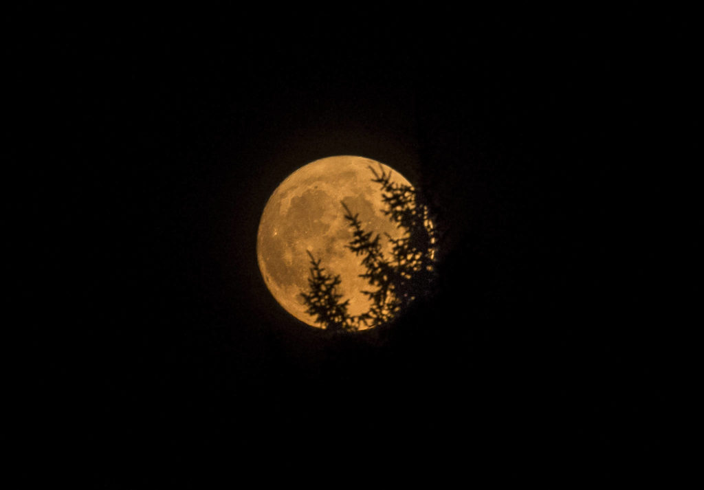 The moon rises over Everett on Wednesday, tinged yellow from high elevation smoke. (Olivia Vanni / The Herald)
