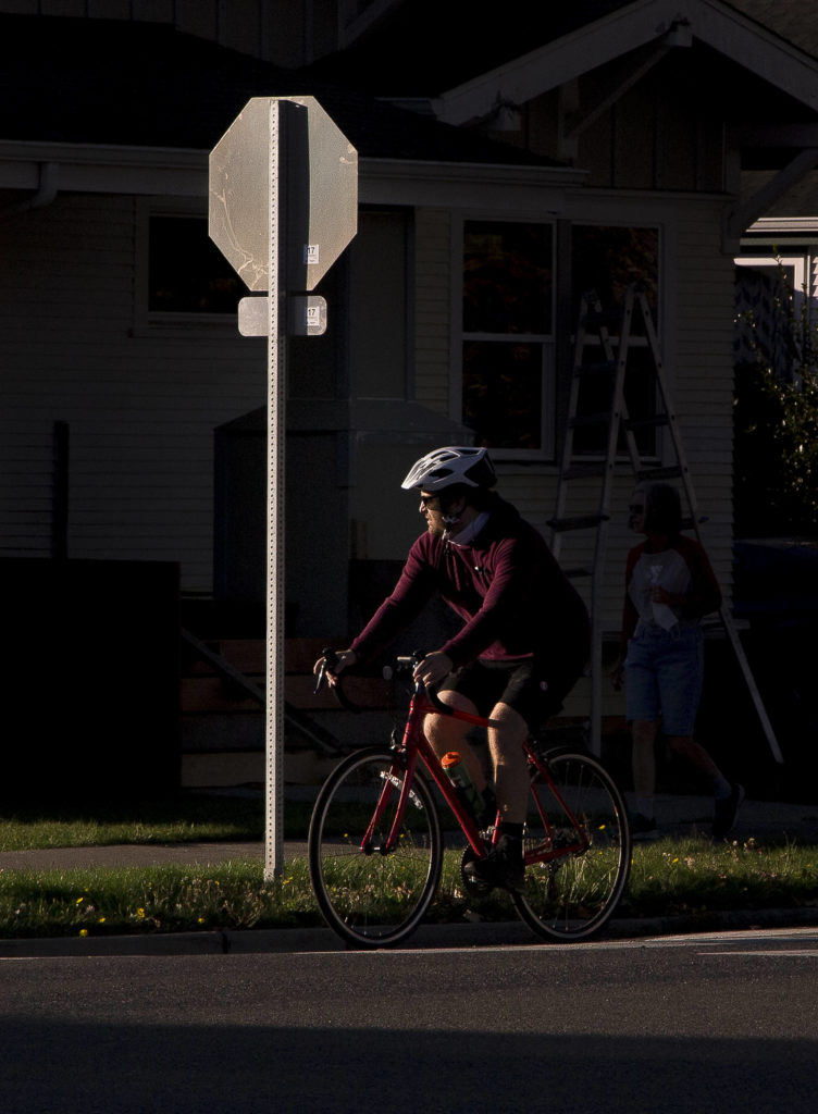 A biker looks right and slowly proceeds through a stop sign at 16th Street and Colby Avenue on Tuesday in Everett. As of Oct. 1, bike riders can treat stop signs like yield signs. (Andy Bronson / The Herald)
