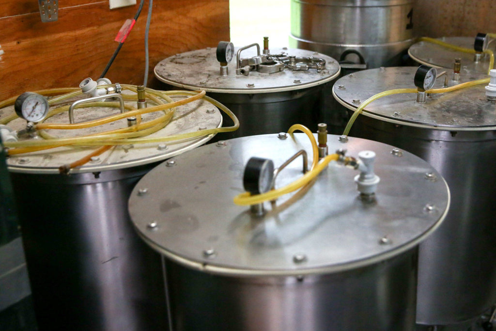 Jim Jamison has been brewing English-style ales out of the shed in his back yard since 2010. (Kevin Clark / The Herald)
