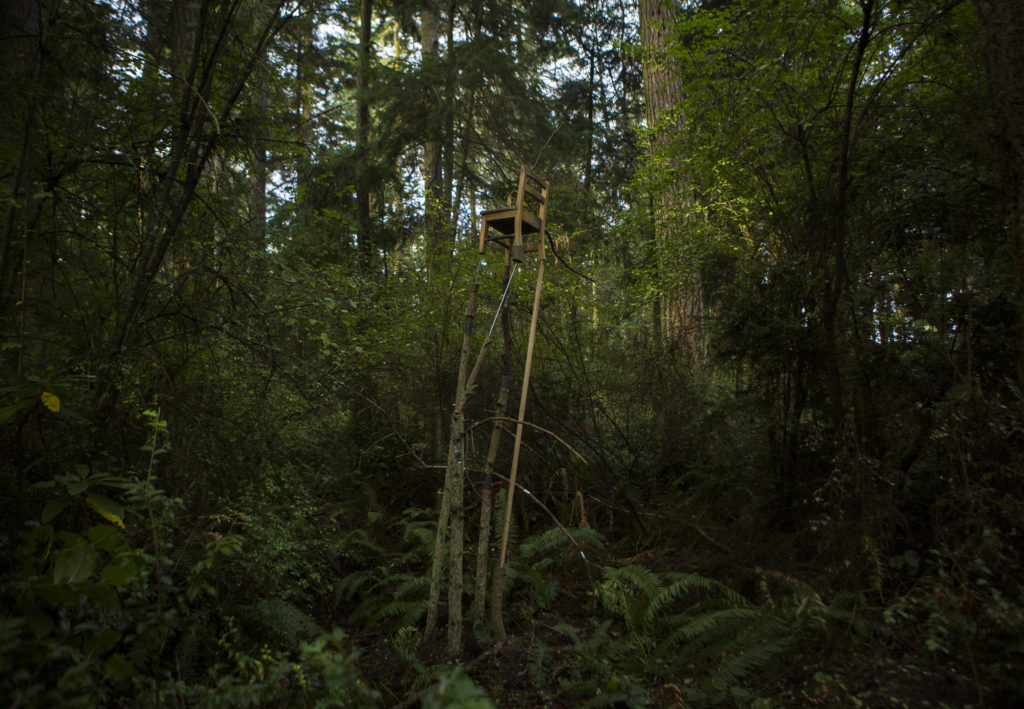 Boyang Yu’s “Points Of Departure” was created and produced on site at the new Price Sculpture Forest in Coupeville. (Olivia Vanni / The Herald)
