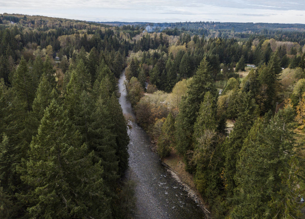 The Pilchuck River flows past homes near the site of the Pilchuck River Dam on Tuesday in Granite Falls. (Olivia Vanni / The Herald)
