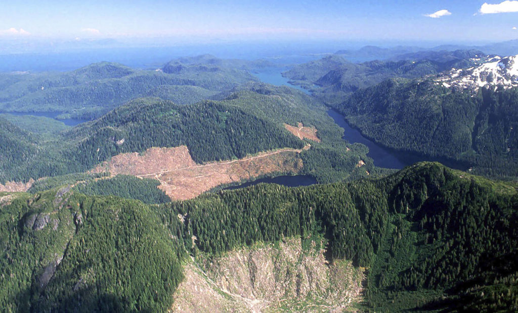 This 1990 aerial photo shows a section of the Tongass National Forest in Alaska that has patches of bare land where clear-cutting has occurred. (Hall Anderson/Ketchikan Daily News via AP, File)
