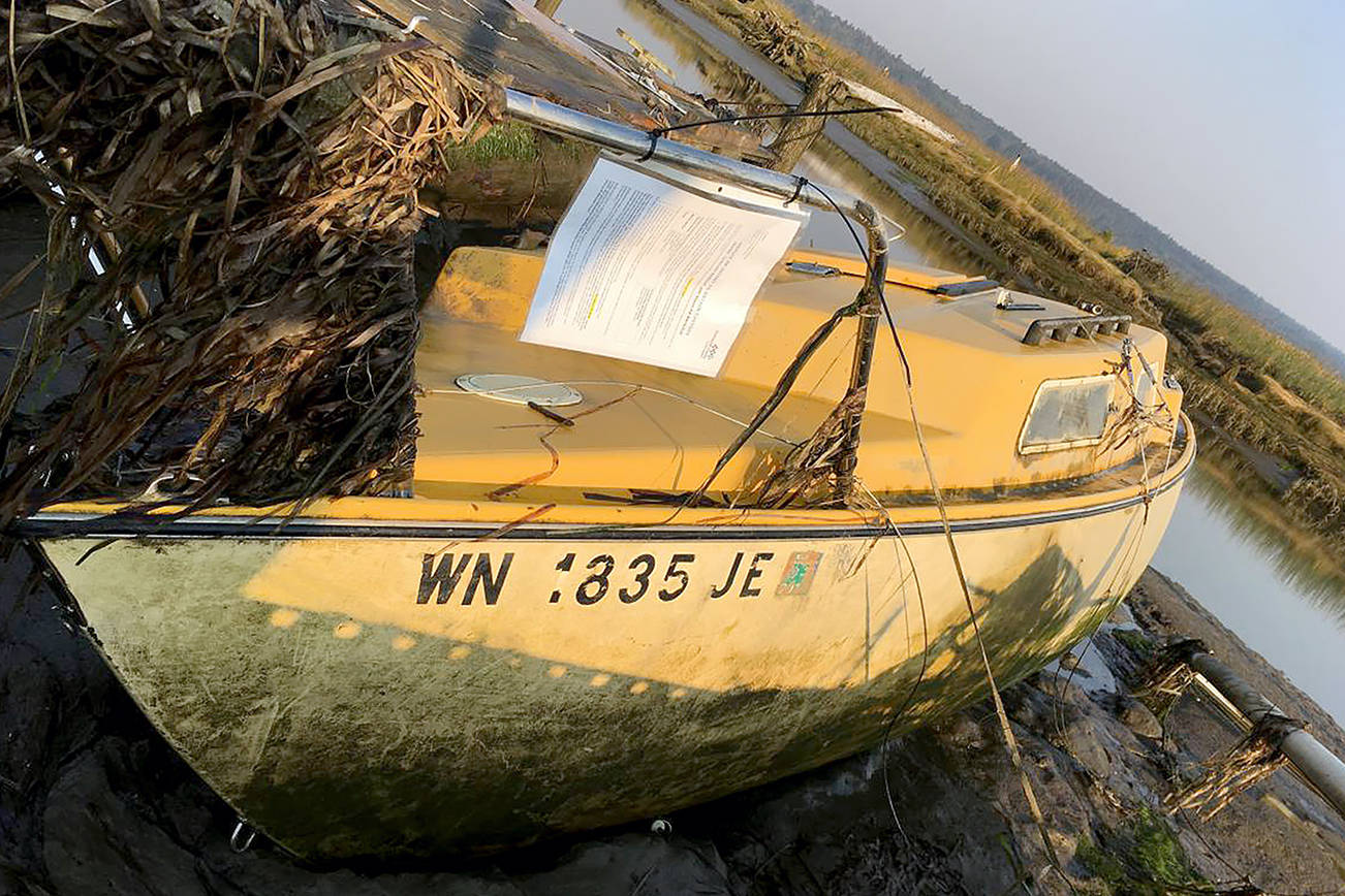 An old sailboat stuck in the Snohomish River, set to be removed next week. (Snohomish County Surface Water Management)