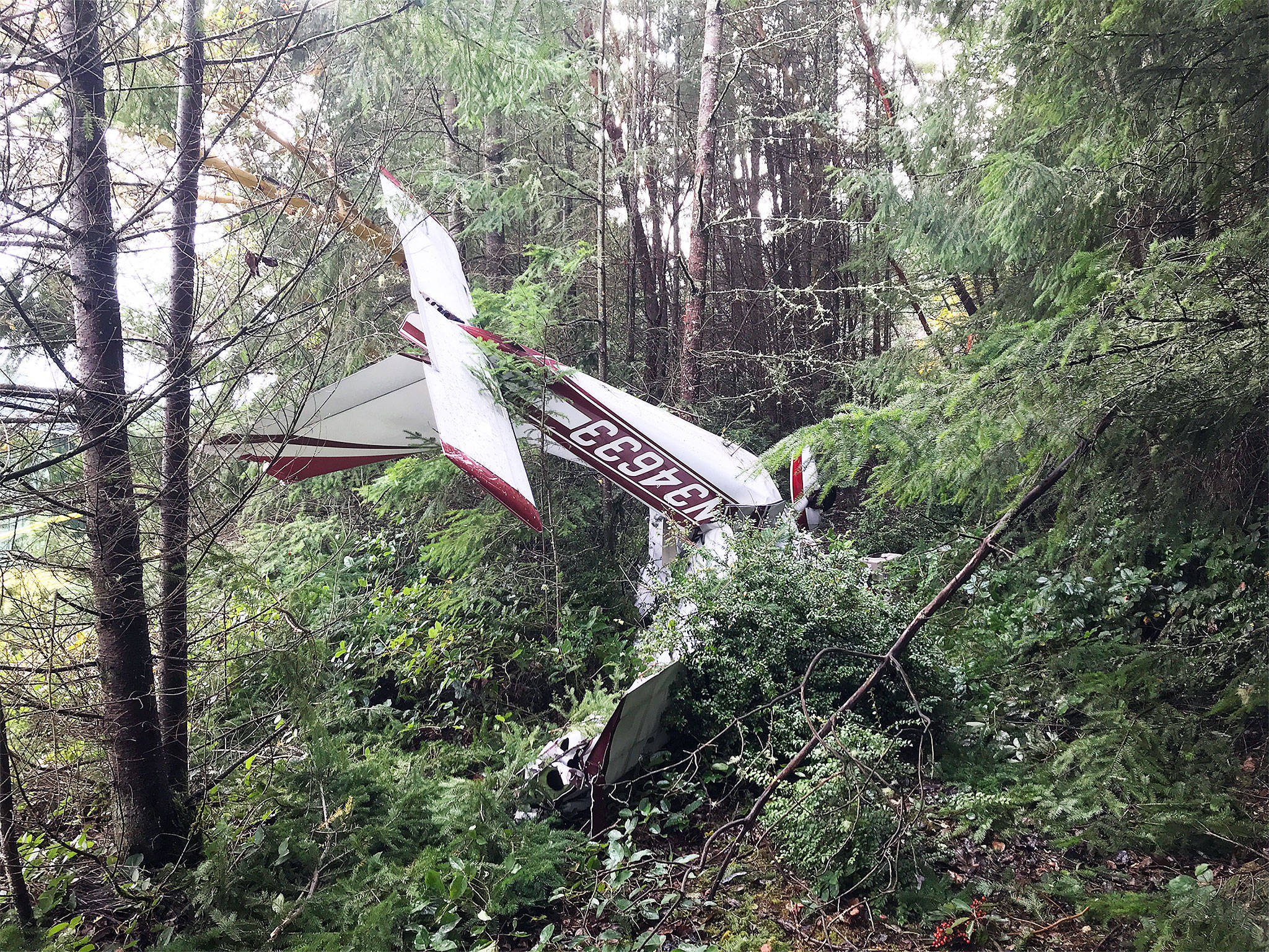 A Cessna 177 crashed near the Whidbey Airpark in Langley on Wednesday, killing two. (Island County Sheriff’s Office)