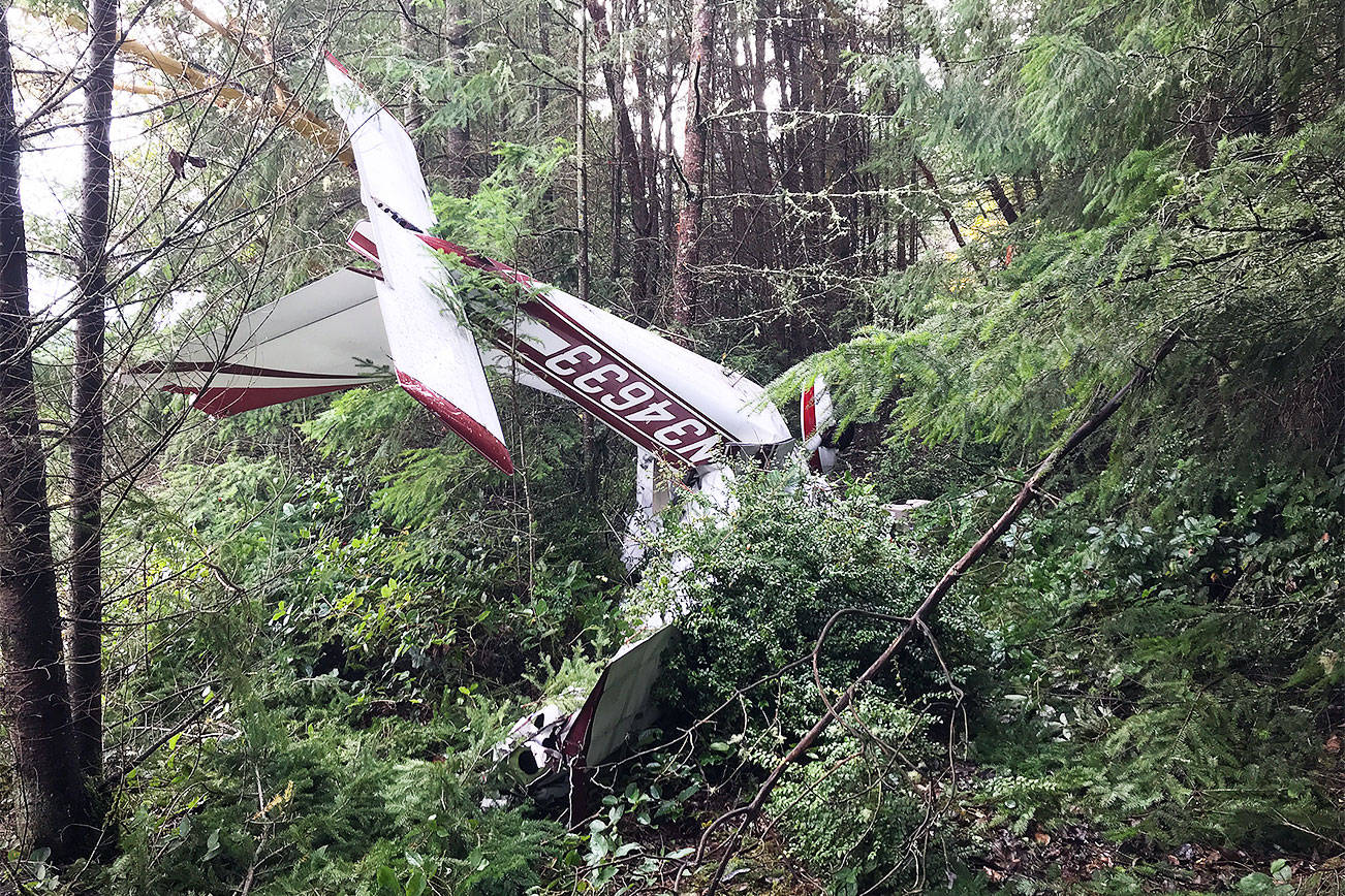 A Cessna 177 crashed near the Whidbey Airpark in Langley on Wednesday, killing two. (Island County Sheriff's Office)