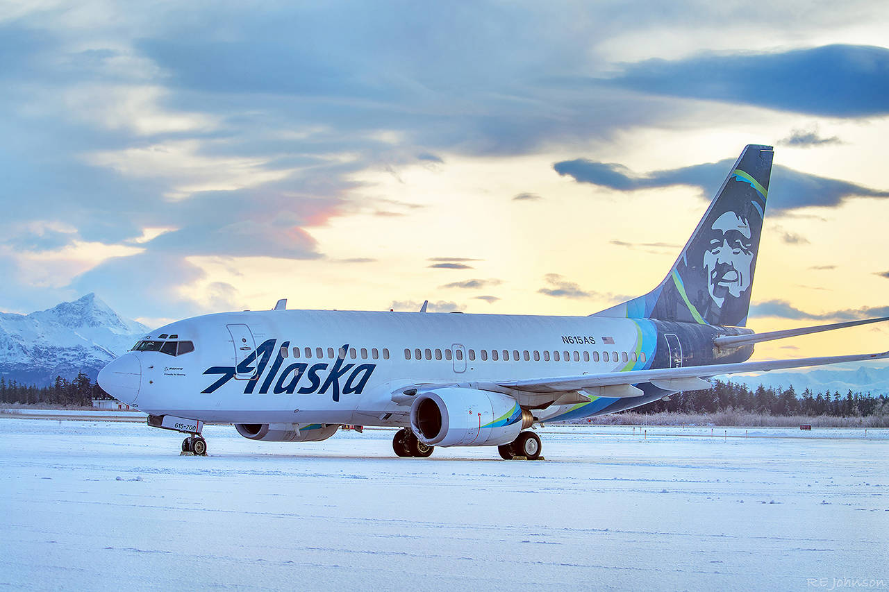 This Alaska Airlines jet struck a brown bear while landing at Yakutat Airport in Yakutat, Alaska on Saturday. (R E Johnson via AP)