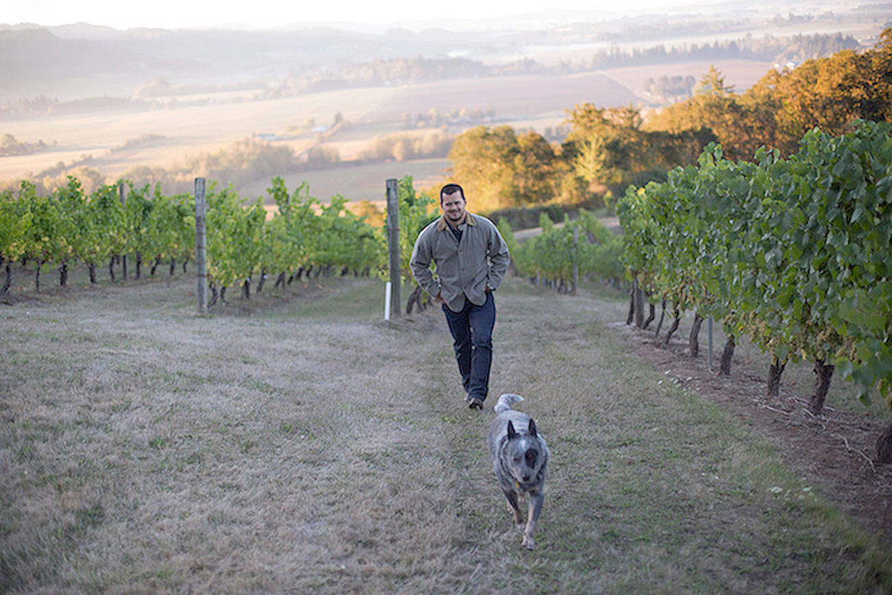 Ryan Harms and his blue heeler, Luke, walk the rows at historic Amity Vineyard. Harms and Union Wine Co., purchased the property from Oregon iconoclast Myron Redford in 2014. Redford made his first wine — which he dubbed Pinot Noir Nouveau — in 1976. (Union Wine Co.)