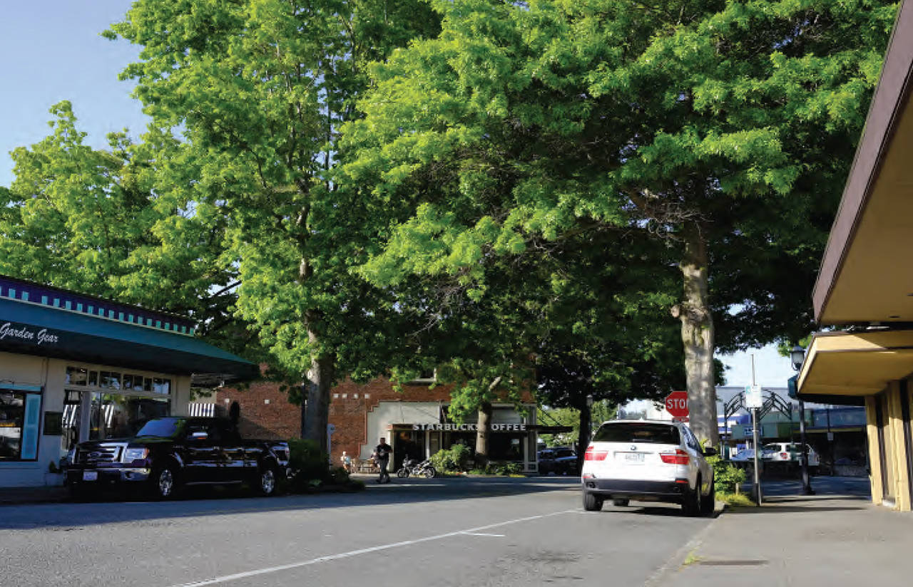 Trees at Fifth Avenue S and Main Street in Edmonds. (City of Edmonds)