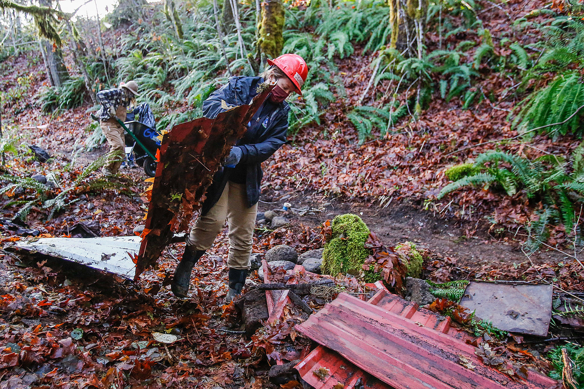 Karly Studley gathers trash and debris during the construction of a new trail in Darrington on Nov. 27. (Kevin Clark / The Herald)
