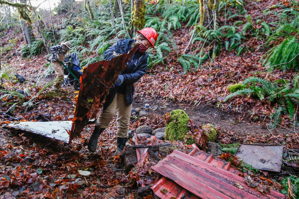 Karly Studley gathers trash and debris during the construction of a new trail in Darrington on Nov. 27. (Kevin Clark / The Herald)
