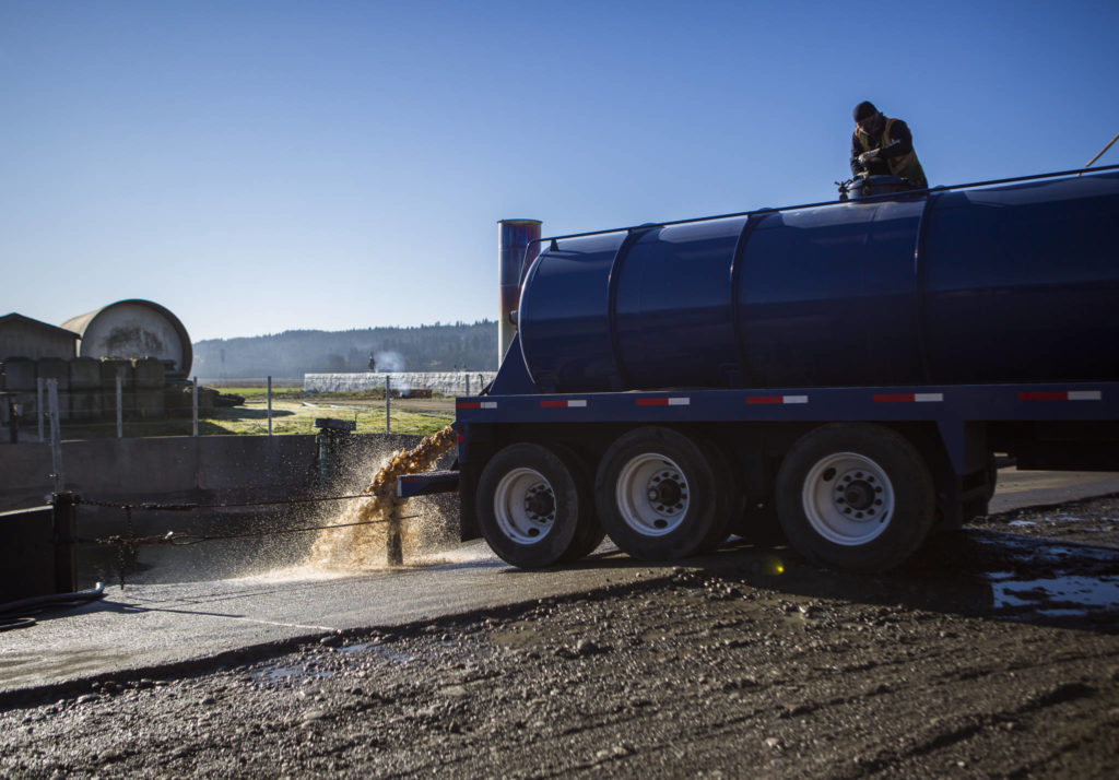 Fish oil and waste are emptied into an open input tank next to the anaerobic digester in Monroe. (Olivia Vanni / The Herald)
