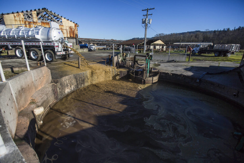 Excess food waste is emptied into an input tank in Monroe. (Olivia Vanni / The Herald)
