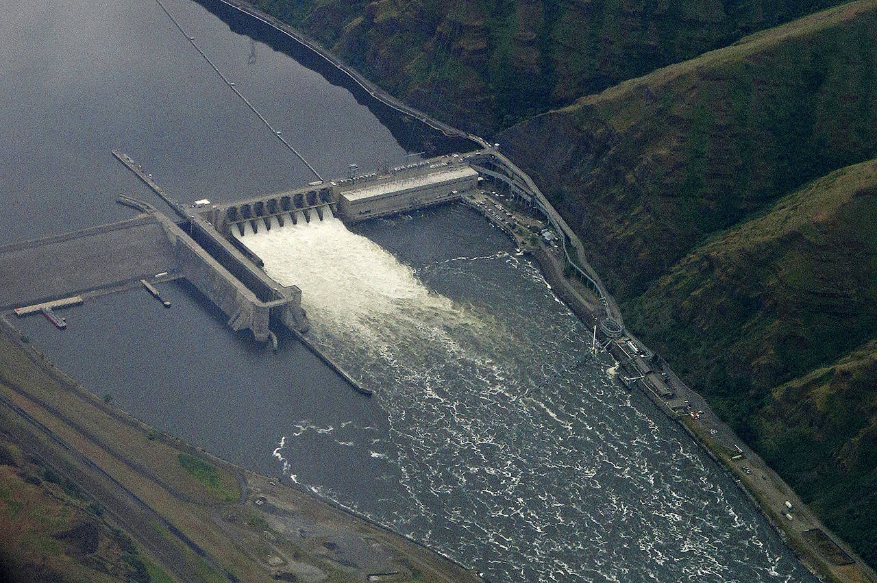 In this 2019 photo, the Lower Granite Dam on the Snake River is seen from the air near Colfax. (AP Photo/Ted S. Warren, File)