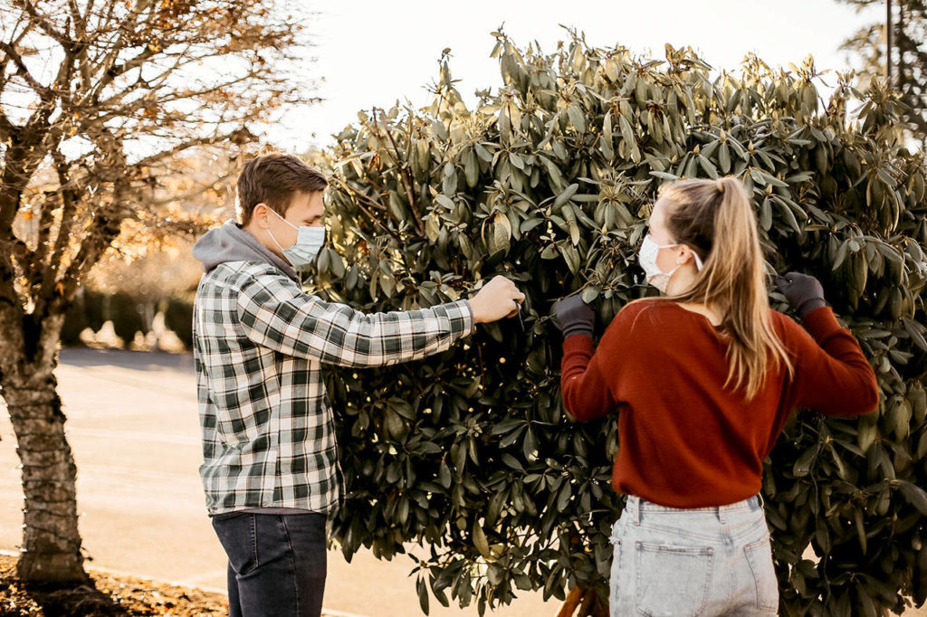 Caleb Sanders and Ashley Dougherty help decorate for the Trees of Christmas event at the Everett Bible Baptist Church. (Maria Lara)
