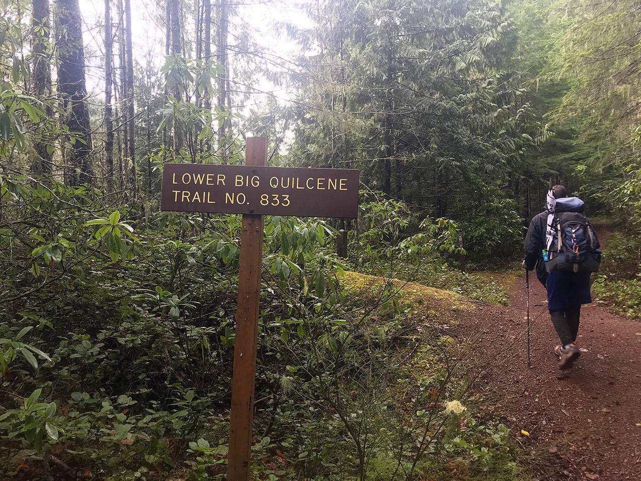 Lower Big Quilcene Trail offers a nice day hike in the winter, or a backpacking option for those who want a bit more adventure. Just check trail conditions by looking up trip reports at wta.org or by calling the local ranger station. (Jessi Loerch)