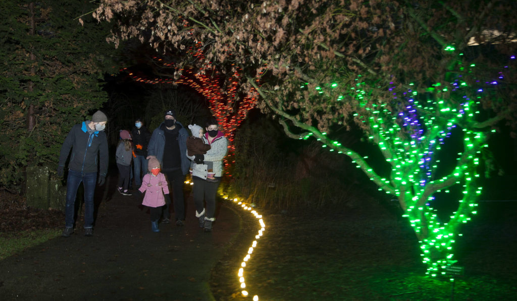 Visitors look at Wintertide Lights at the Evergreen Arboretum in Legion Park in Everett. (Andy Bronson / The Herald)
