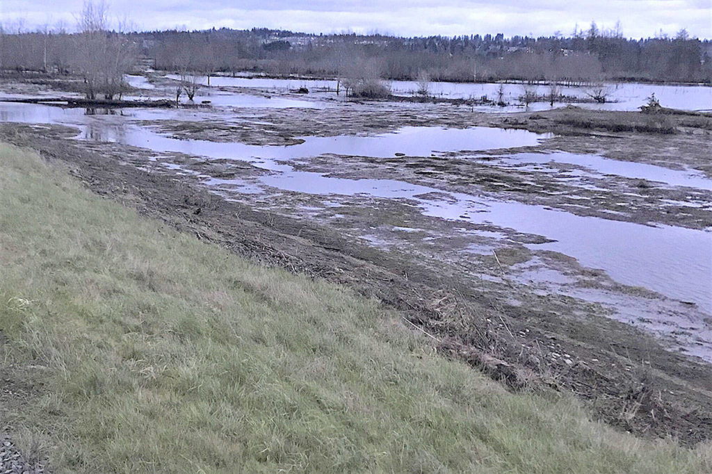 Smith Island, a 320-acre property owned by Snohomish County near Everett, is open to the public, including waterfowl hunters, annually Oct. 1 to Feb. 28. (Washington Department of Fish and Wildlife) 
