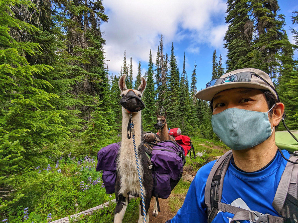 First place, Trail Family: Takahiro Shigemitsu took a selfie with his pack llama on the Pacific Crest Trail. It won him first place in the Trail Family category.
