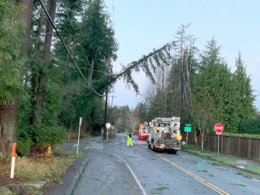 High winds toppled trees over roads and onto power lines across Snohomish County late Tuesday night and early Wednesday morning. (Snohomish County PUD)
