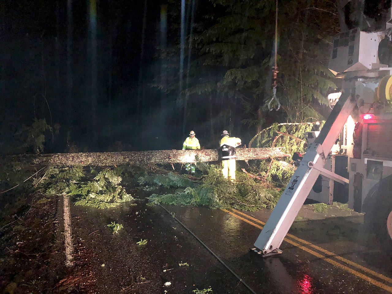 Snohomish County PUD crews cut a fallen tree near Monroe early Wednesday morning after strong winds caused widespread power outages. (Snohomish County PUD)