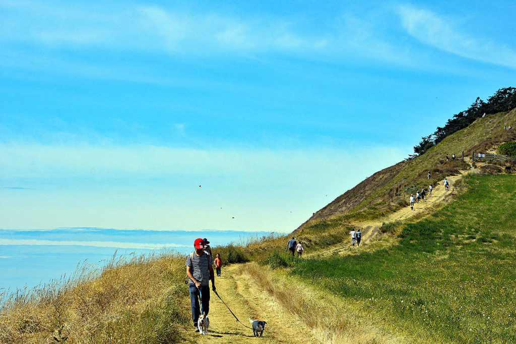 The Pacific Northwest Trail passes through popular Whidbey Island parks and landmarks such as Ebey’s Landing, where day hikers can follow the beach, or the bluff trails, or make a loop of both. (Caleb Hutton / The Herald)
