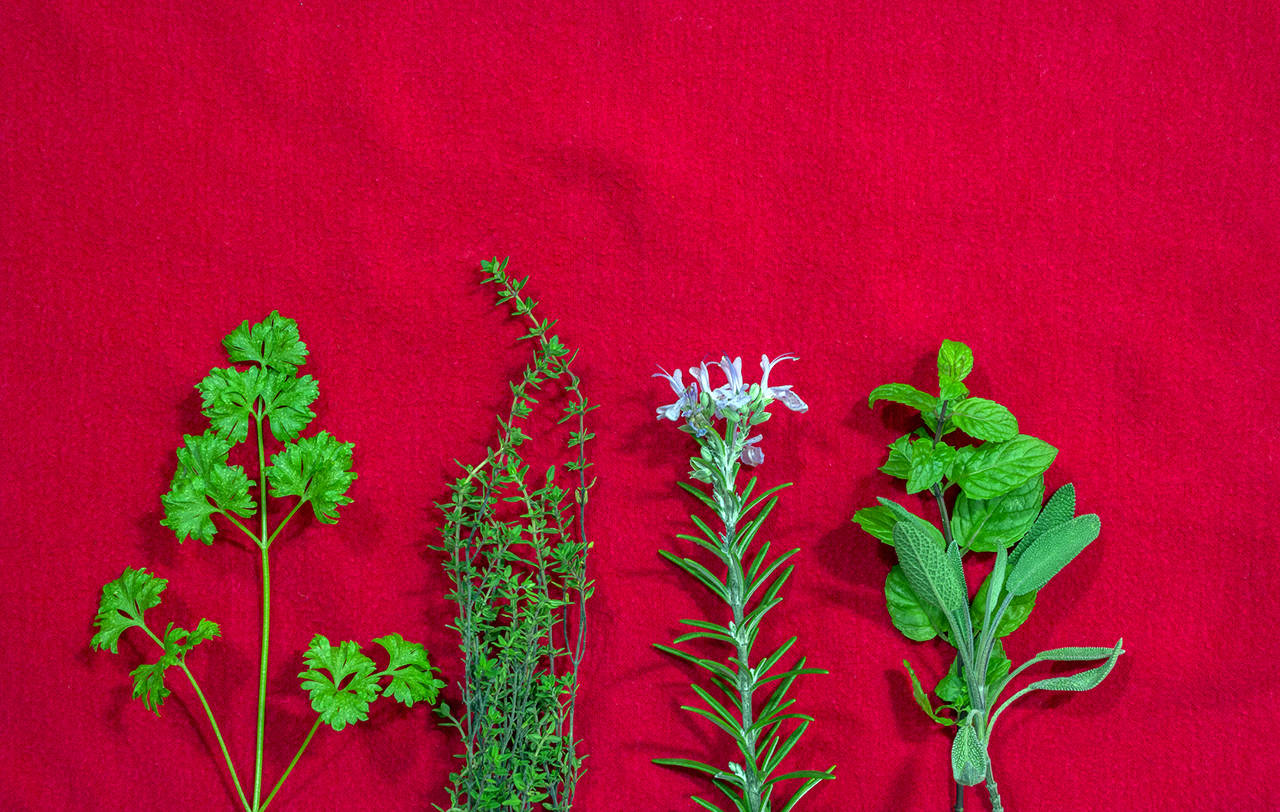 Parsley, thyme, rosemary and sage are winter hardy herbs. (Getty Images)