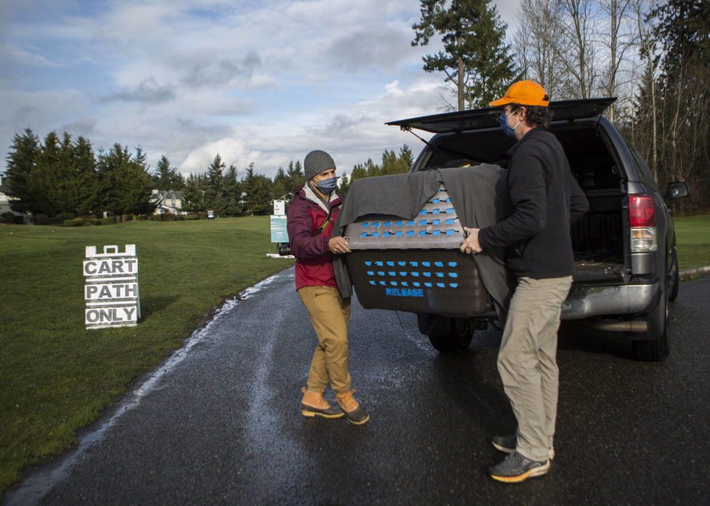 PAWS naturalist Jeff Brown (right) unloads a rehabilitated eagle before its release on Thursday in Mukilteo. (Olivia Vanni / The Herald) 
