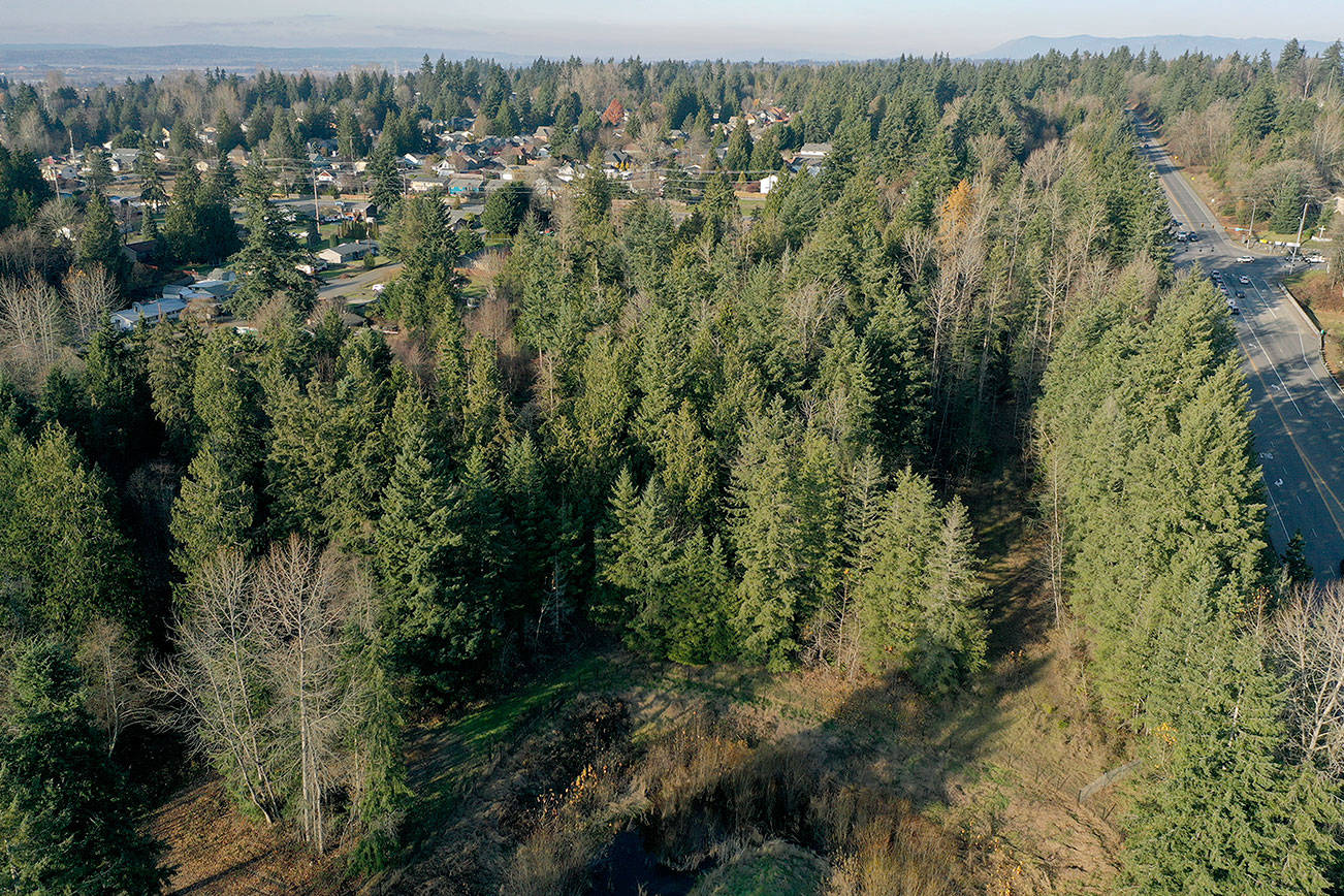 A portion of the site of the proposed Lake Stevens Costco at the intersection of Highway 9 (right) and South Lake Stevens Road (below, out of view). (Chuck Taylor / Herald file)