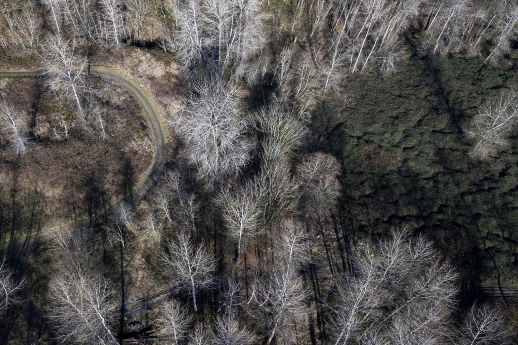 A road weaves through the Go East Corp. landfill site. (Olivia Vanni / The Herald) 
