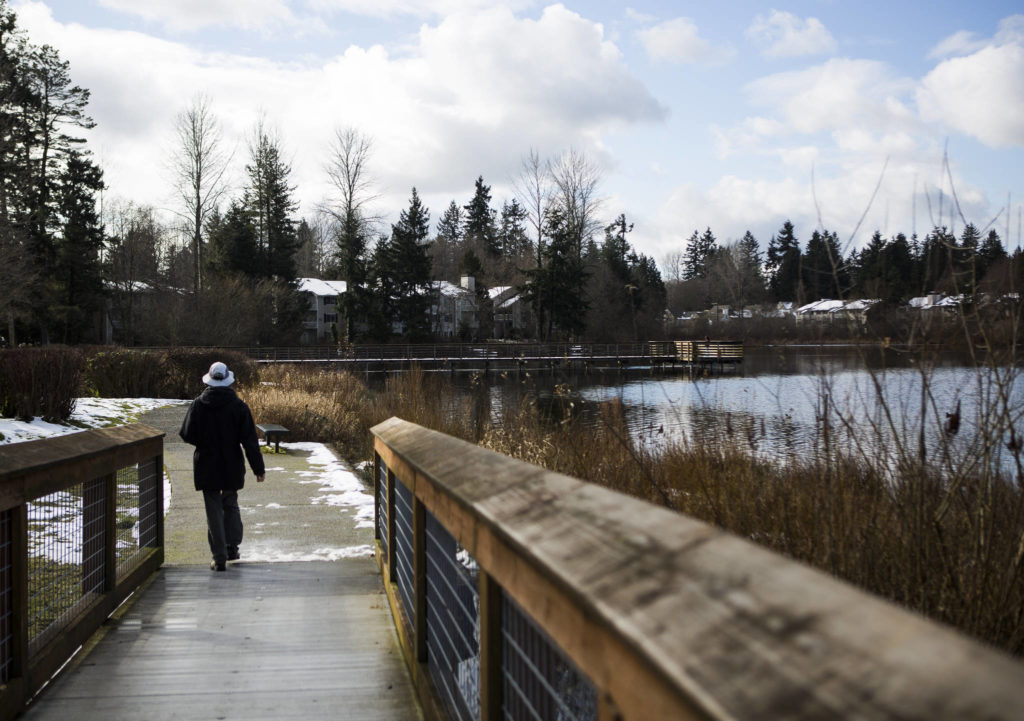 A person walks on the trail along the east side of Silver Lake on Wednesday in Everett. (Olivia Vanni / The Herald) 
