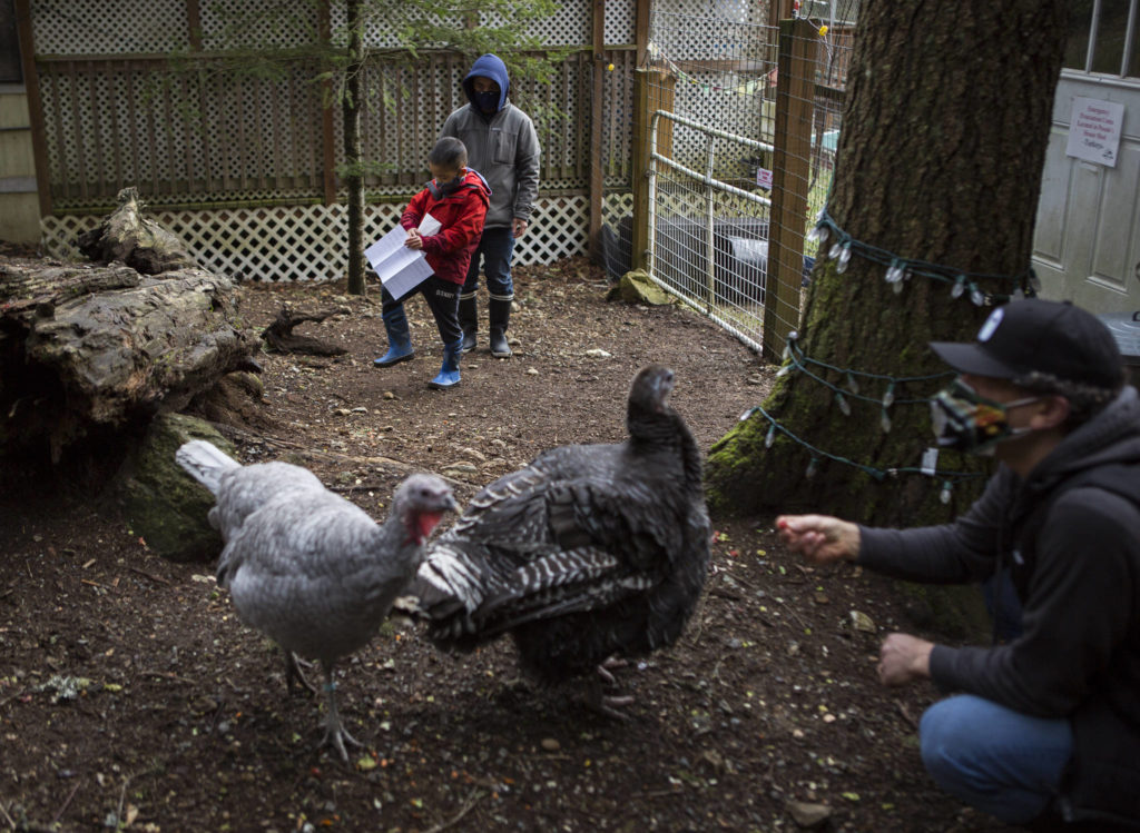 Riley Wong gets ready to read the letter wrote to Stella the turkey. (Olivia Vanni / The Herald)

