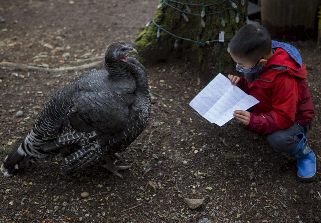 Riley Wong’s mother, Jennifer Wong, says the pan pal program has been a great way for Riley to work on his writing. (Olivia Vanni / The Herald)
