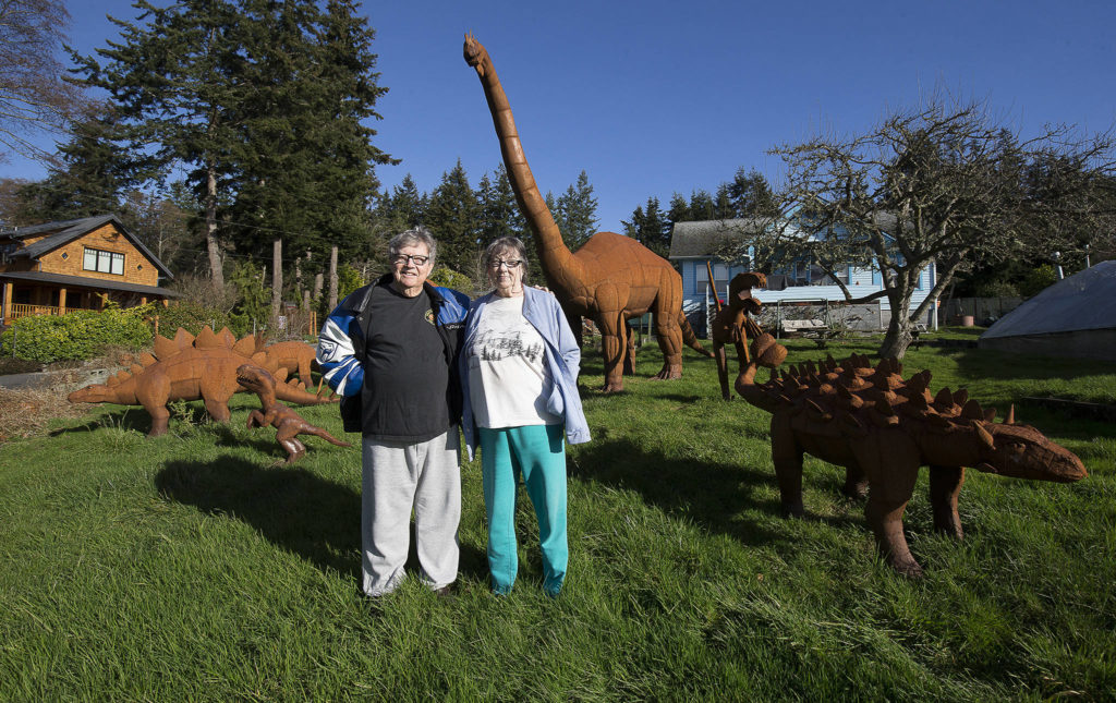 About a dozen metal sculptures adorn the front yard of the home of Burt Mason and Mary Saltwick in Freeland on Whidbey Island. The couple are accustomed to finding strangers in their yard and taking photos. They got the sculptures during vacations in Tucson, at a store that imports handcrafted figures from Mexico. (Andy Bronson / The Herald)
