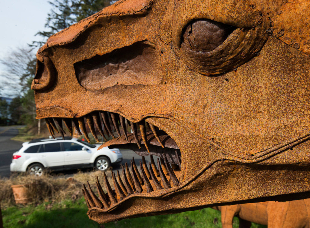 A Tyrannosaurus rex appears to eat a car at a home owned by Burt Mason and Mary Saltwick in Freeland on Whidbey Island. (Andy Bronson / The Herald)
