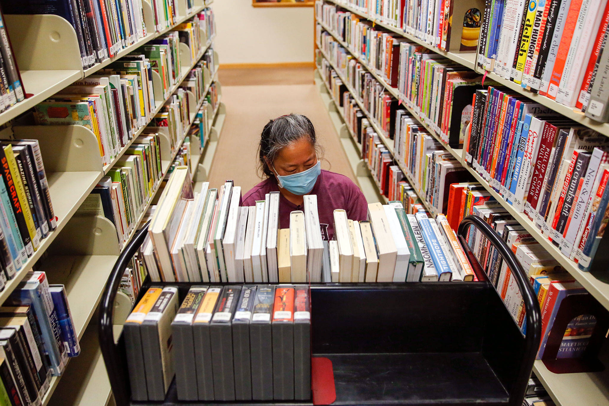 Darlene Tanis sorts books Thursday at the downtown Everett Public Library. (Kevin Clark / The Herald)