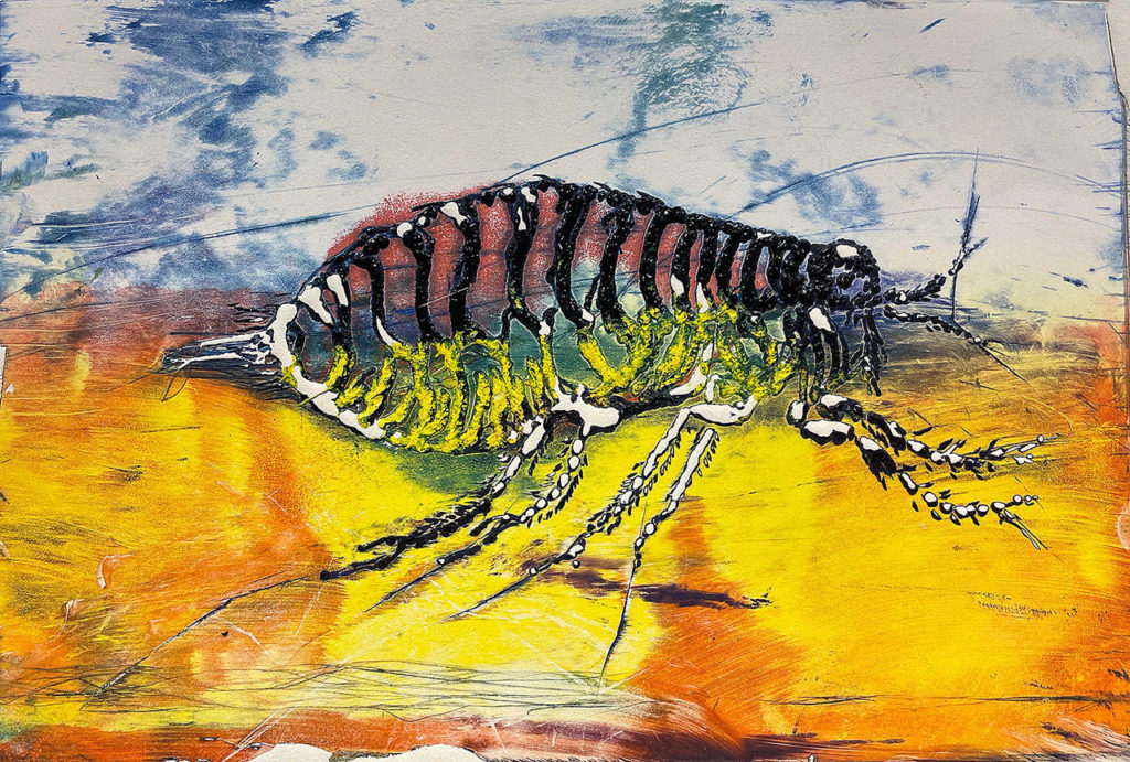 ”Colorful Flea” by Curt Labitzke
