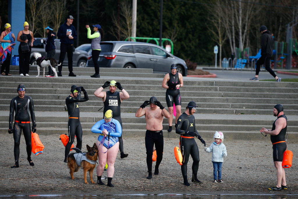 Members of the Lake Stevens Open Water Swimmers group gather at Lundeen Park for an early morning practice. (Kevin Clark / The Herald)
