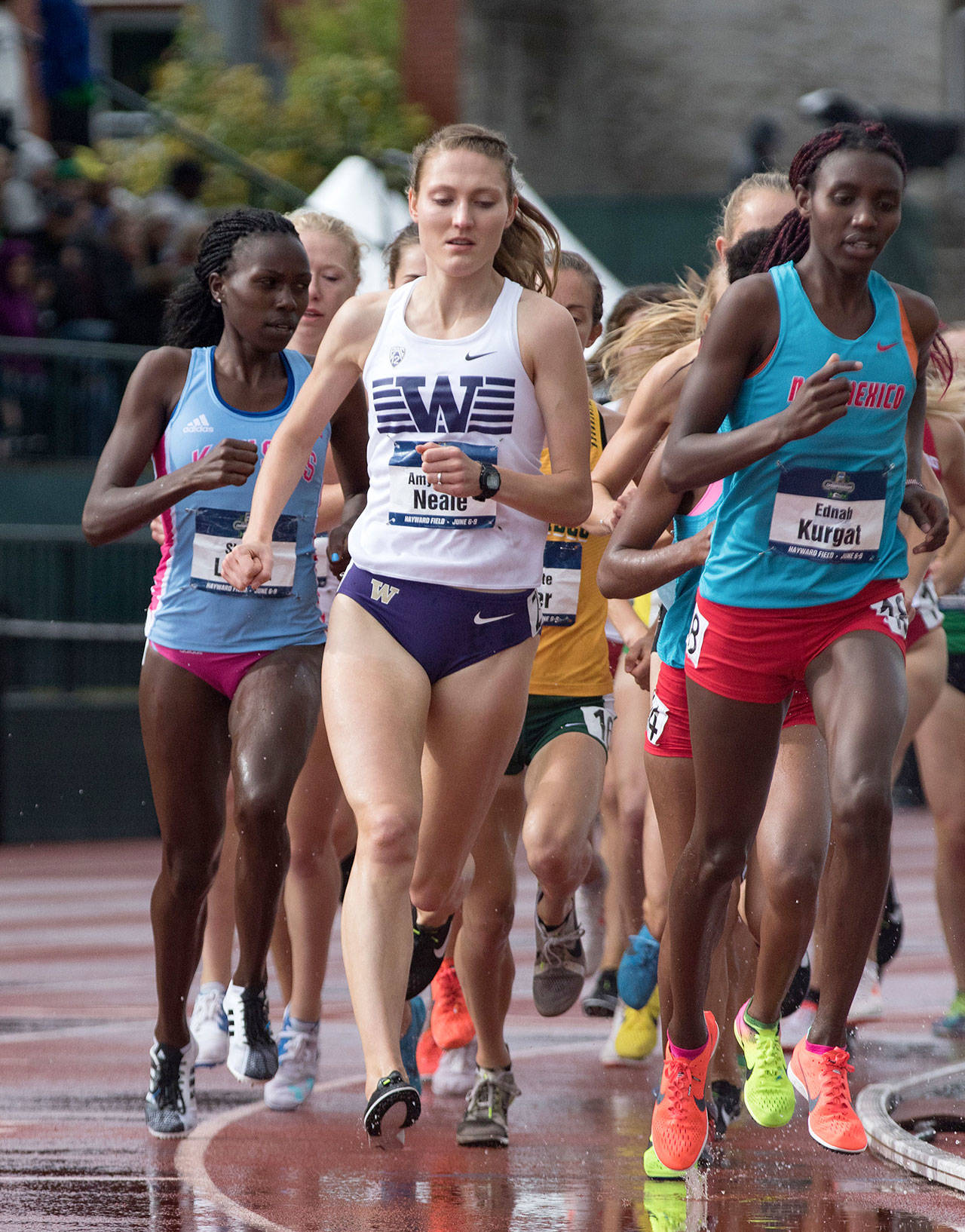 Glacier Peak High School and University of Washington alum Amy-Eloise Markovc (middle), formerly Amy-Eloise Neale, won the gold medal in the women’s 3,000 meters at the European Athletics Indoor Championships on March 5 in Poland. (University of Washington photo)