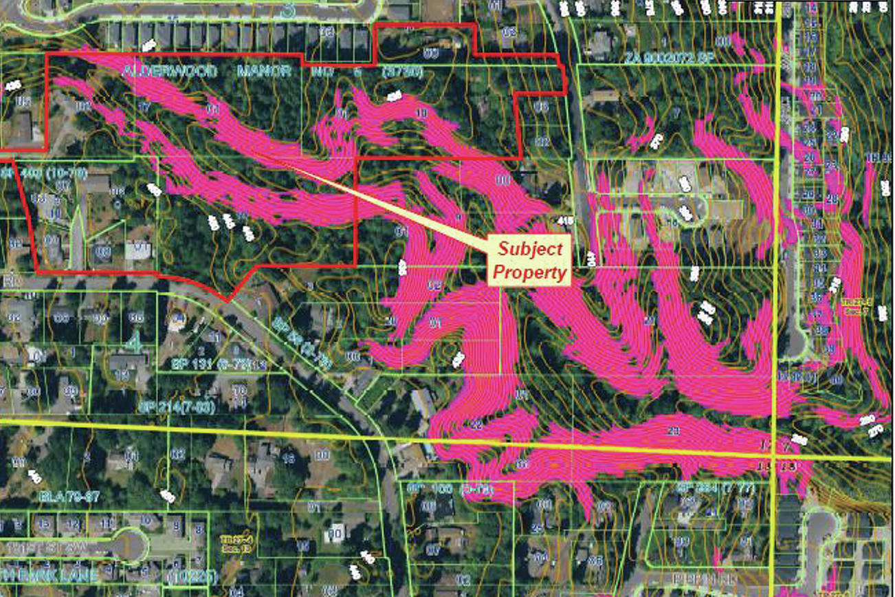 Vicinity map of the Ironwood development project. (Snohomish County Council)