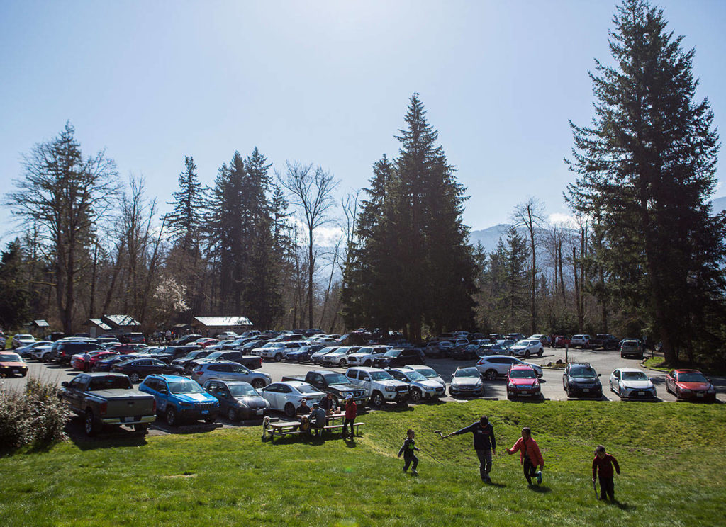 The parking lot at the Wallace Falls trailhead near Gold Bar is guaranteed to be full on weekends. You should have a backup hike — or two — in mind if you can’t find a place to park at your preferred trail (Olivia Vanni / Herald file)
