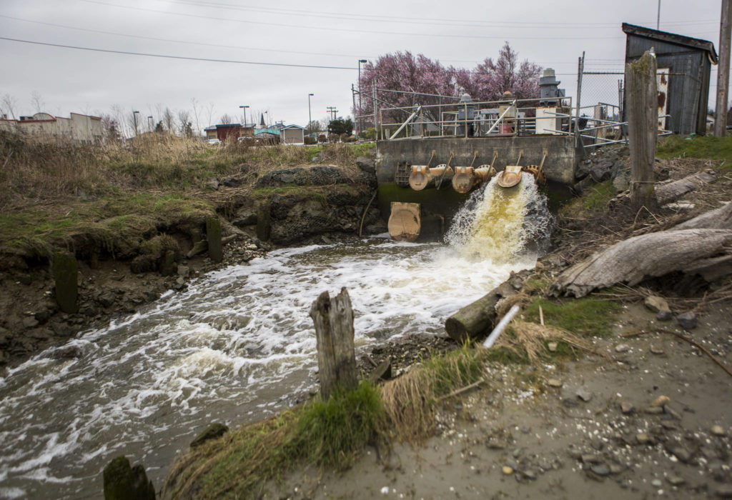 Wastewater is pumped out into the Stillaguamish River near the Hamilton smokestack on March 26 in Stanwood. (Olivia Vanni / The Herald)
