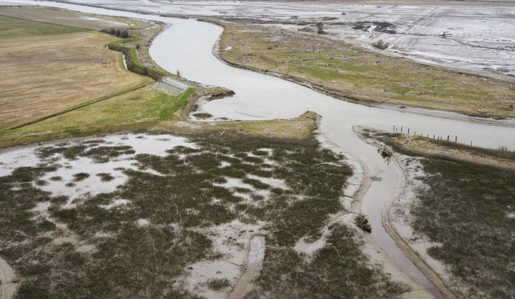 Farmland (left) borders a restored floodplain area, across from Leque Island that is currently under restoration, on March 26 in Stanwood. (Olivia Vanni / The Herald)

