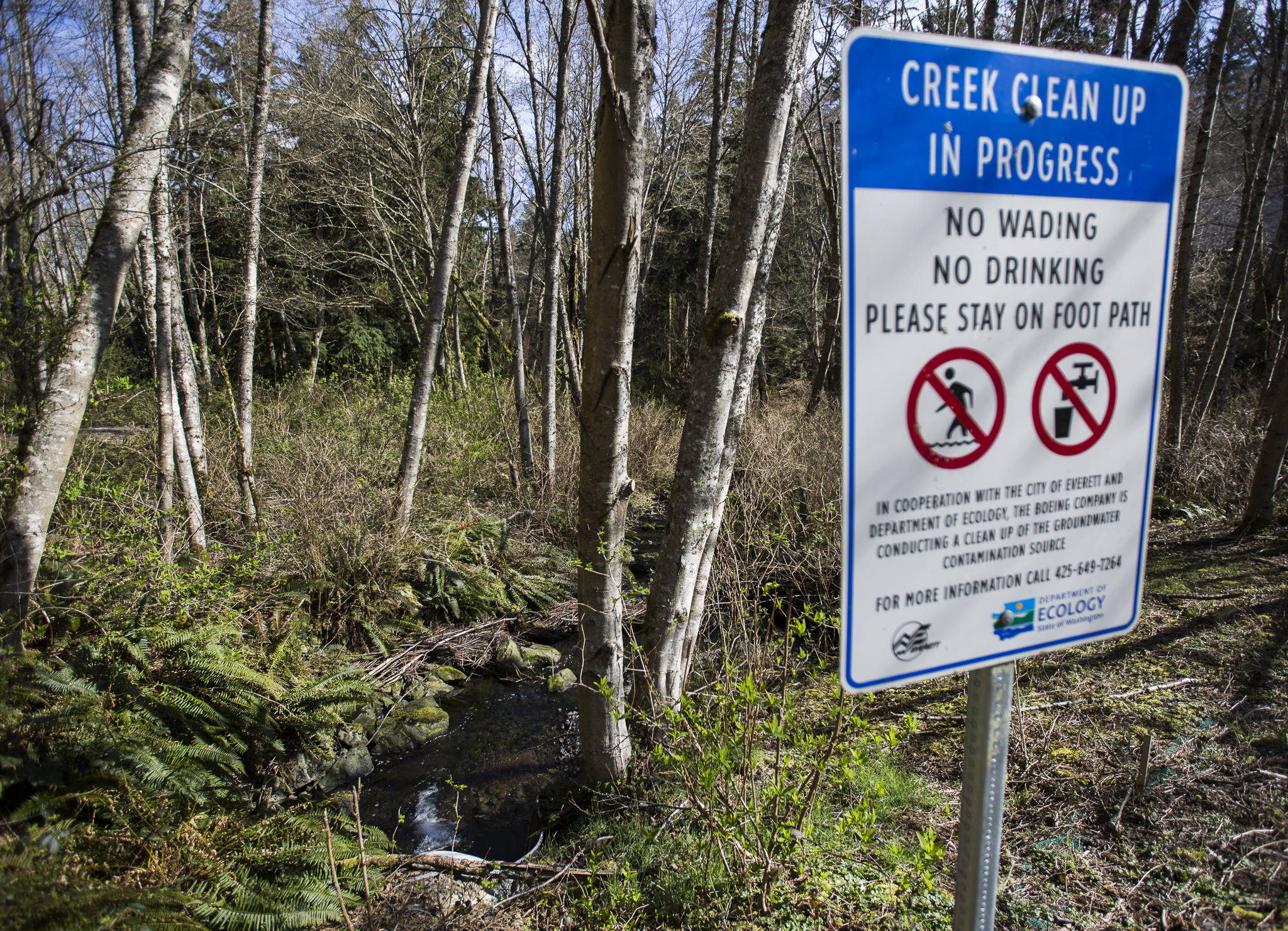 Signs from the Department of Ecology warning about contamination are placed along the creek that runs through Powder Mill Gulch. (Olivia Vanni / The Herald)