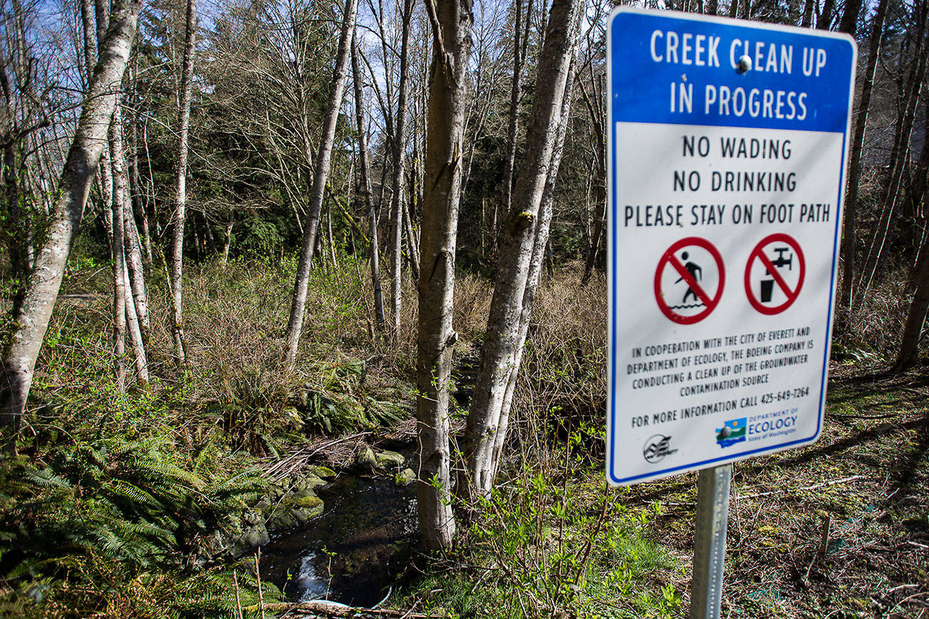 Signs from the Department of Ecology warning about contamination in the creek that runs through Powder Mill Gulch on Wednesday, March 31, 2021 in Everett, Wa. (Olivia Vanni / The Herald)