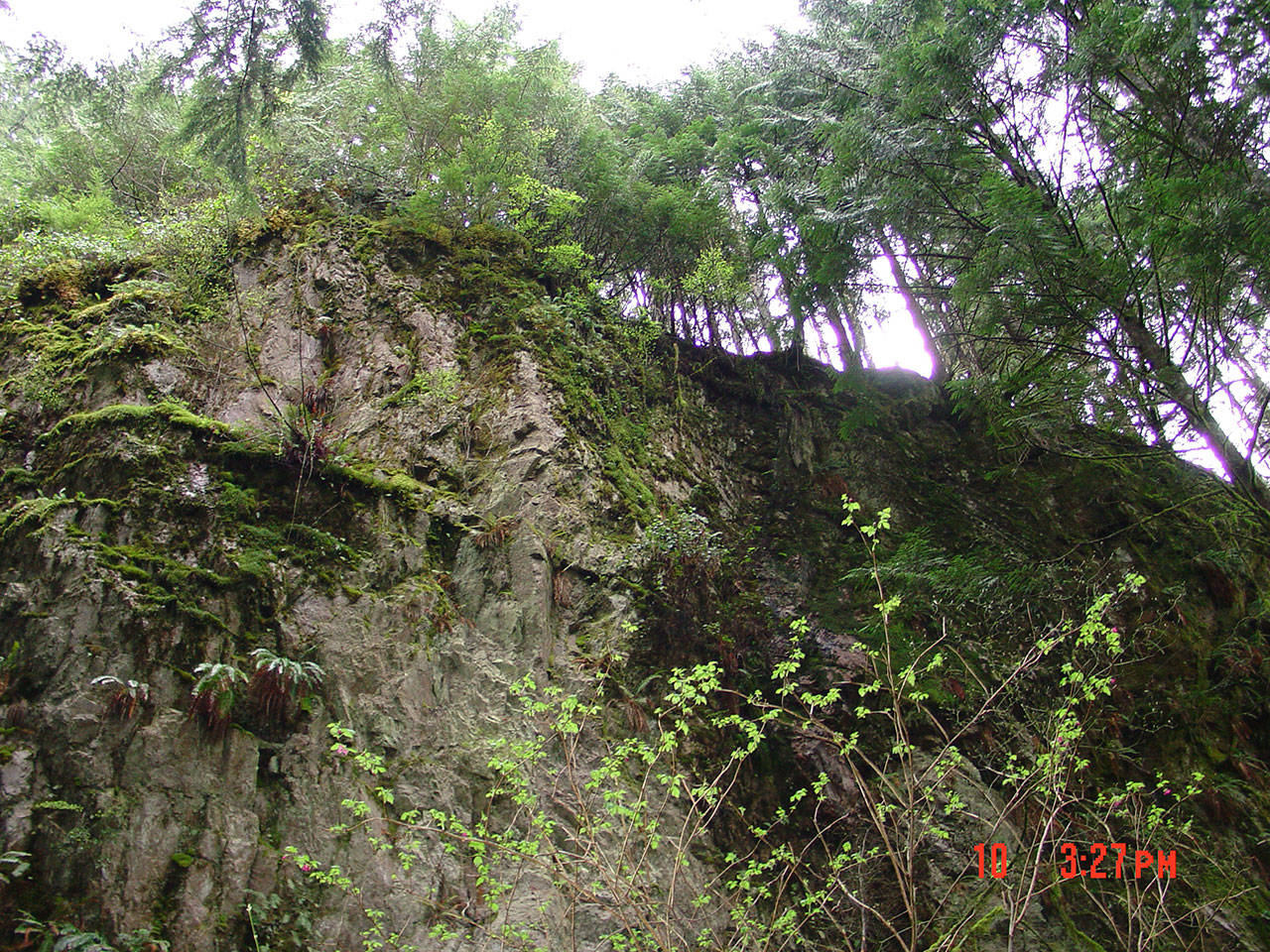 A sheer cliff face stood near the spot where two surveyors found a man’s bones off Sultan Basin Road in April 2007. (Courtesy of the Snohomish County Medical Examiner’s Office.)